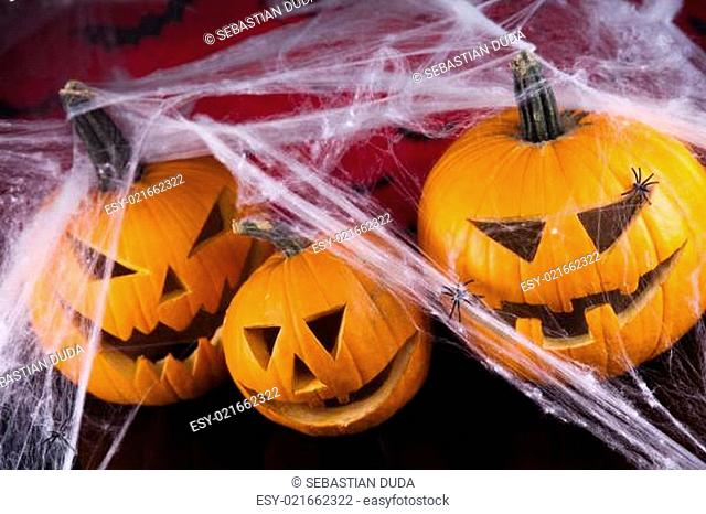 Halloween background with web and spider, pumpkin