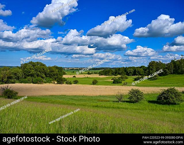 22 May 2022, Brandenburg, Mallnow: Clouds drift over the landscape of a nature reserve on the edge of the Oderbruch. The Oderbruch was created after draining...