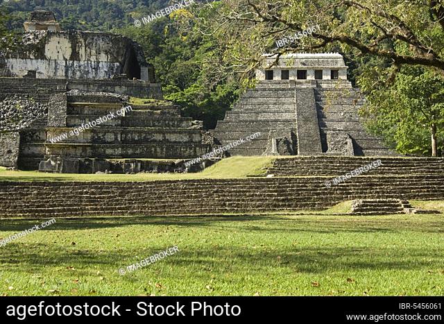 Temple of the Inscriptions, Templo las Inscripciones, Palenque, Chiapas, Mexico, Central America