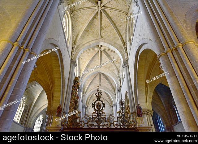 Ciudad Rodrigo, Catedral de Santa Maria (romanesque and gothic, 12-14th centuries). Central nave. Salamanca province, Castilla y Leon, Spain