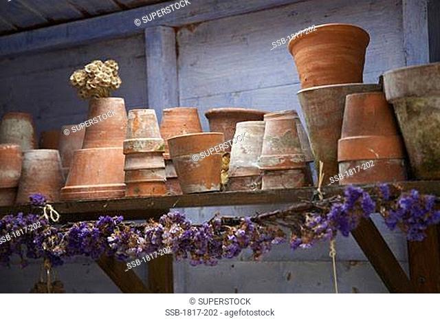 Plant pots in potting shed