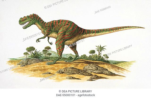 Palaeozoology - Jurassic Period - Dinosaurs - Metriacanthosaurus (art work by Philip Hood)