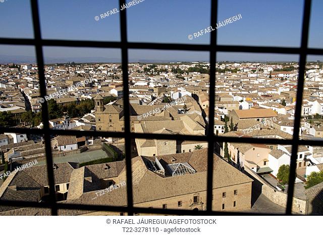 Baeza (Spain). Panoramic from the bell tower of the Cathedral of the Nativity of Our Lady of Baeza