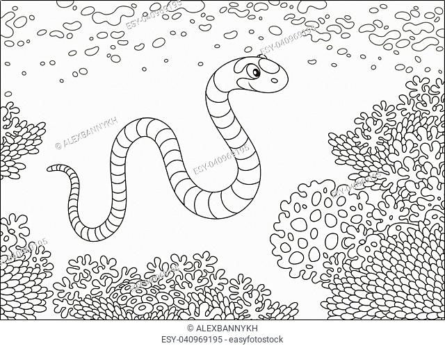 Sea snake cartoon Stock Photos and Images | agefotostock