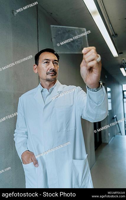 Scientist with hand in pocket examining human brain glass sample while standing at clinic corridor
