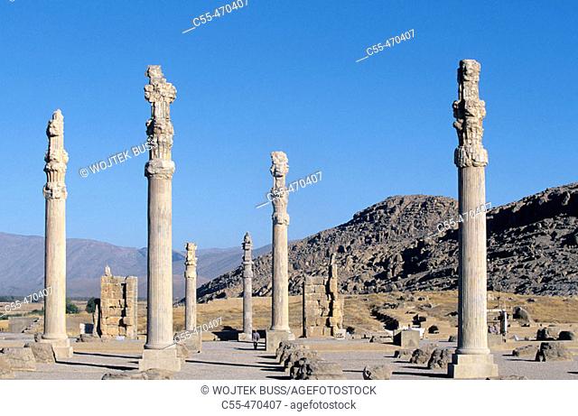 Apadana. Persepolis. Iran