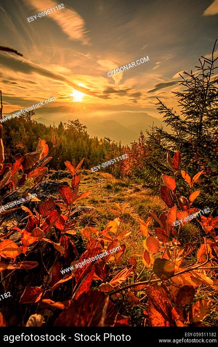 Autumn Sunset landscape in the mountains of Austria - Hohe Wand with colorful Forest