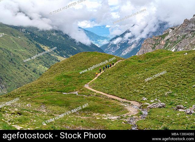 Europe, Austria, Tyrol, Stubai Alps, Pinnistal, hiking group on the descent from the Innsbrucker Hut into the Pinnistal