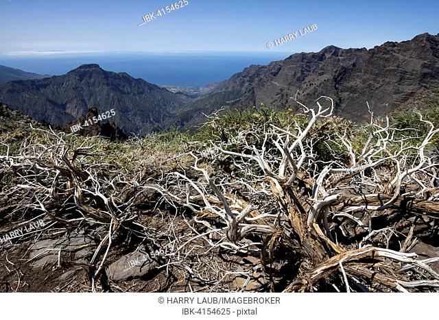 View from the Roque de los Muchachos on the Caldera de Taburiente, La Palma, Canary Islands, Spain