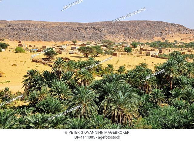 Palm grove with a settlement, oasis near Ouadane, Adrar Region, Mauritania
