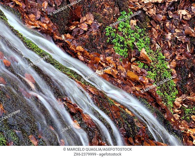 Detail of Marianegre stream waterfalls. Montseny Natural Park. Barcelona province, Catalonia, Spain