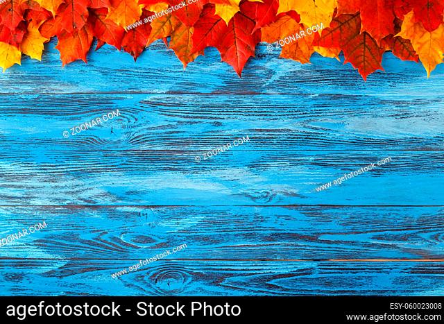 Natural maple leaves as frame on wooden background