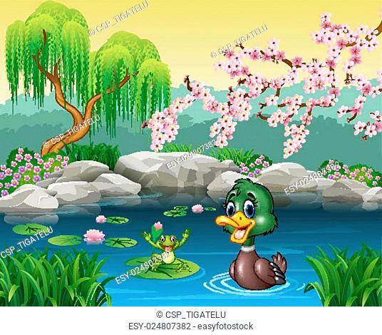 Lotus flowers and ducks Stock Photos and Images | agefotostock