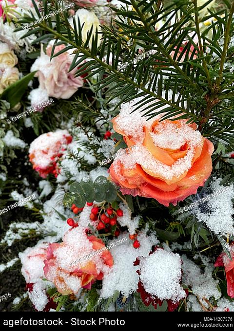 Flowers in the snow, frozen