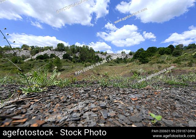 28 May 2020, Hessen, Messel: The Messel pit near Darmstadt is covered with oil shale. In 1995, the area became the first natural world heritage site in Germany...