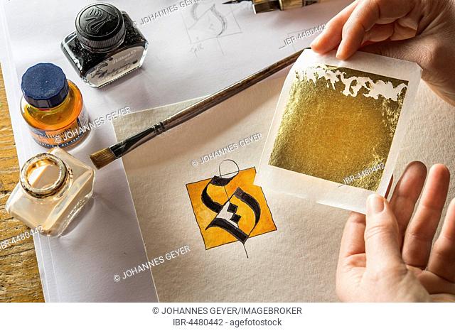 Calligraphy studio, hands holding sheet with transfer gold, letters S on torchon paper at back, inkwells, paintbrush, Seebruck, Upper Bavaria, Germany