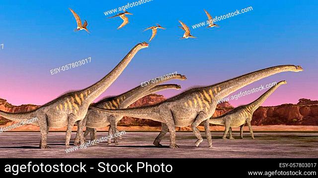 A flock of Pteranodon reptiles fly over a herd of Sauroposeidon dinosaurs walking together during the Cretaceous Period of North America