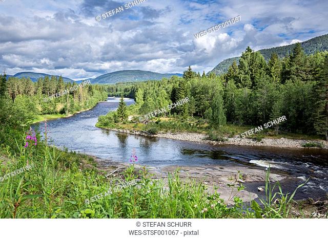 Norway, Southern Norway, Telemark, Notodden, Heddal, Heddol river