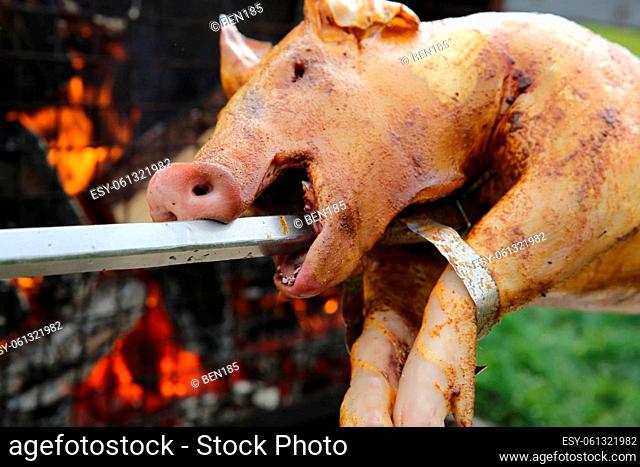 Roasting piglet on the firewood in Germany