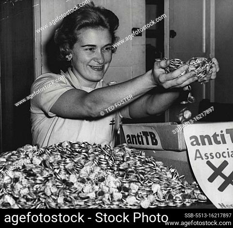 Miss June Wilson, of Petersham, sorting buttons and putting them into sellers boxesat the Anti-T.B. Assoc. Revenue Office, Surry Hills to-day