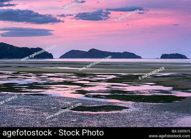 Pink evening mood at low tide, coast at Torrent Bay, Takaka, Tasman, South Island New Zealand