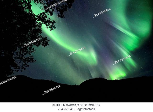 Norway, Nordland, Lofoten islands, Vestvagoy island, northern lights (aurora borealis)