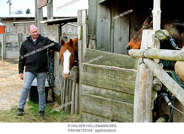 Farmer Andreas Strahlmann stands next to horse Rosi at his farm in Wettmar, Germany, 28 February 2017. 60 horses live in the horse boxes he rents out to private...