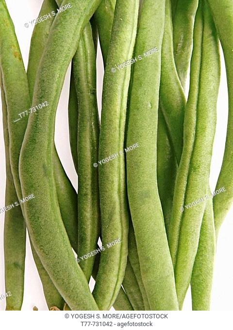 Green beans, Phaseolus vulgaris have long, edible pods and small inner beans  Used as a vegetable  Thinner beans are usually more tender and sweeter  contain...