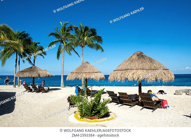 View of the beach with coconut palm trees and palapas at Cozumel Chankanaab National Park on Cozumel Island near Cancun in the state of Quintana Roo