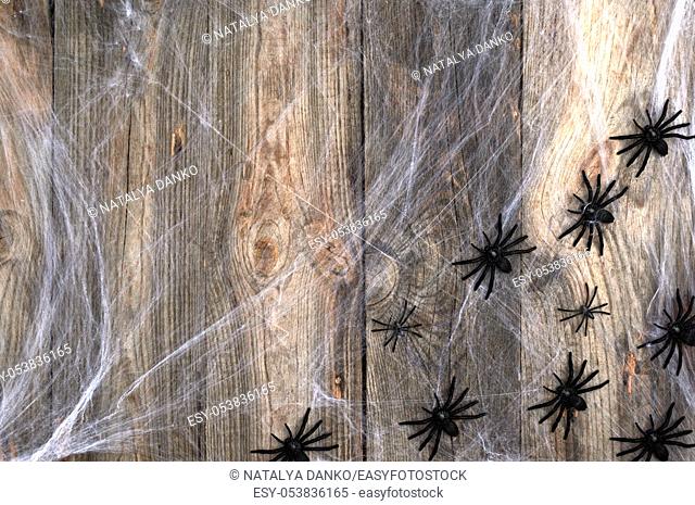 white spider web with black spiders on a gray wooden background from old boards, backdrop for the holiday Halloween