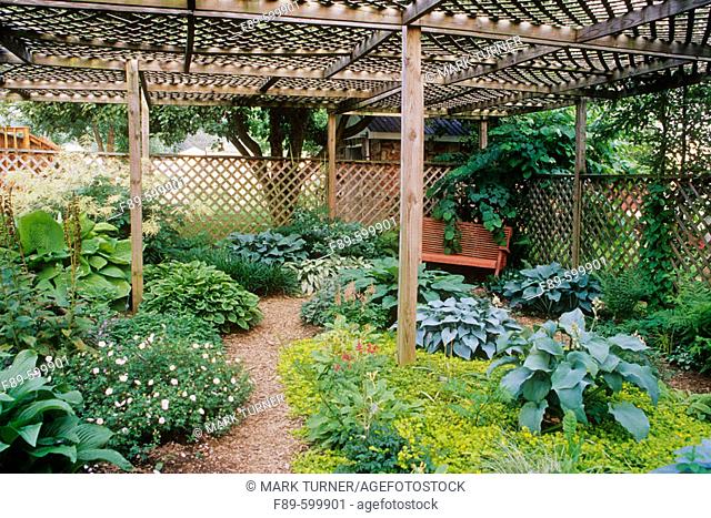 Lath house creates shade garden w/ Hosta 'Krossa Regal'; H. sieboldiana 'Elegans'; H. x tardiana 'Halcyon'; H. fortunei var