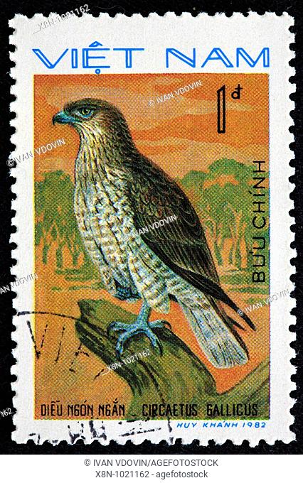 Short-toed Eagle Circaetus gallicus, postage stamp, Vietnam, 1982