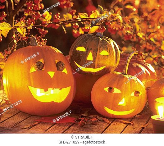 Halloween: hollowed-out pumpkins at night