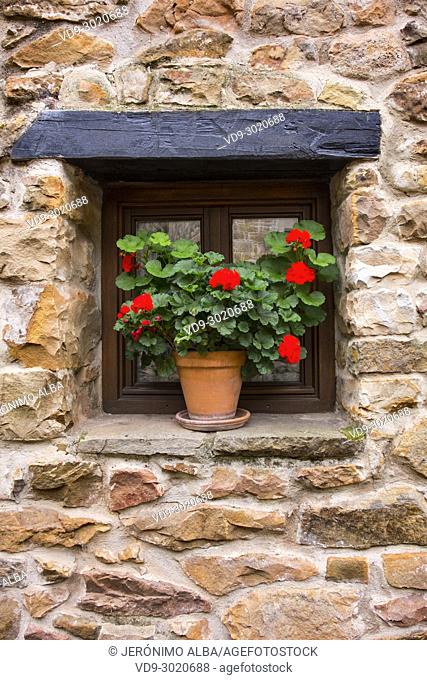 Window with flowers, typical stone house. Rural Village of Barcena Mayor Los Tojos. Saja Natural Park, Saja-Nansa, Cantabria, Spain Europe