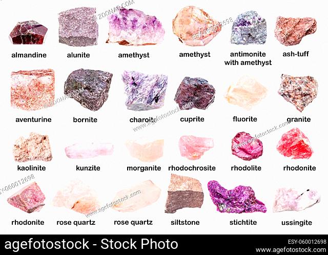 set of various unpolished pink minerals with names (rhodonite, rhodolite, rhodochrosite, almandine, morganite, bornite, amethyst, cuprite, siltstone, aleurite