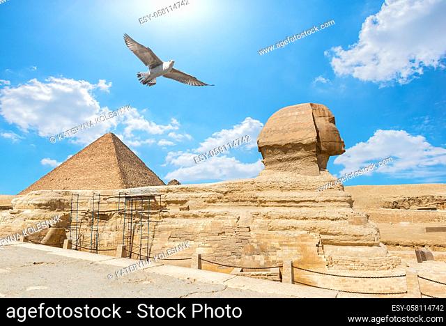 Bird over Pyramid and Sphinx in the desert of Giza, Egypt