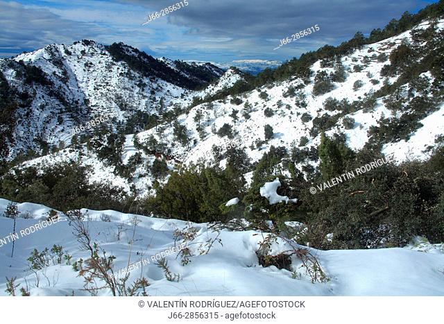 Winter landscape under the Espadán peak. Natural park Sierra Espadán. Castellón