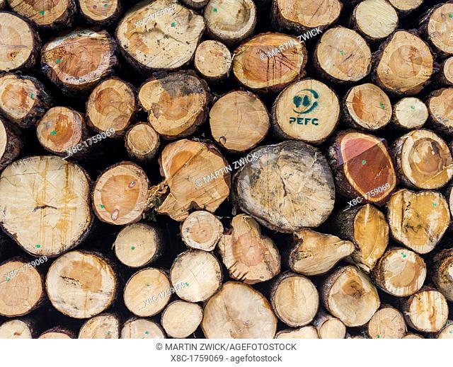 Logs harvested from sustainable forestry, in the Dolomites near the mountain range Rosengarten catinaccio The PEFC Programme for the Endorsement of Forest...