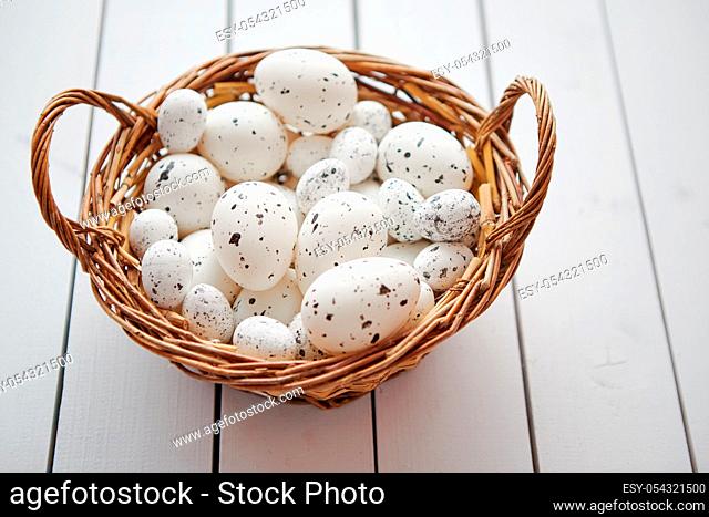 Basket of chicken and quail white dotted Easter eggs in brown wicker basket. Placed on white wooden table
