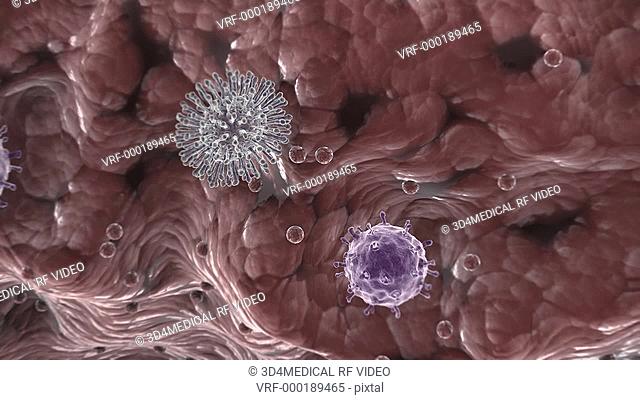Animation depicting the mutation of the bird flu virus at cellular level