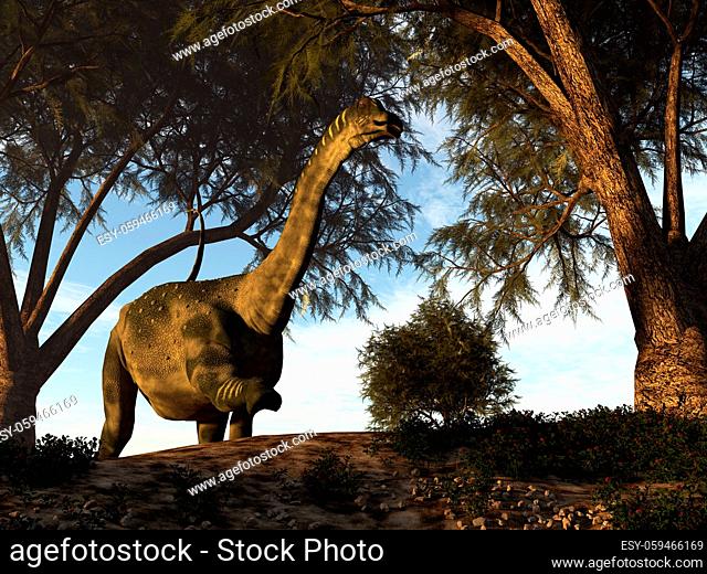 Antarctosaurus dinosaur walking among tamaris trees - 3D render