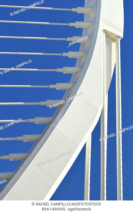 Assut de l'Or bridge, City of Arts and Sciences by Santiago Calatrava, Valencia, Comunidad Valenciana, Spain