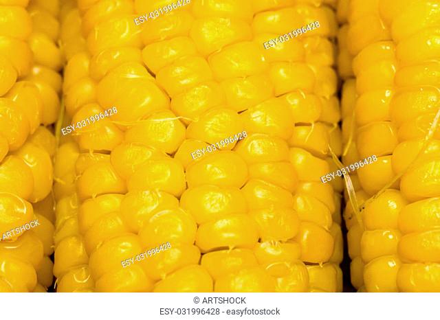 Grains of ripe corn cob, close up background