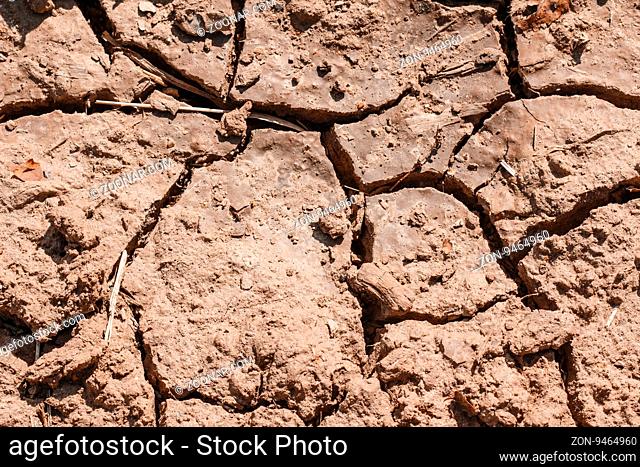 Cracks in the dried soil in arid season / Desertification