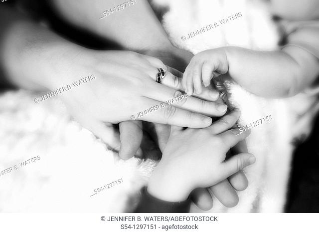 The hands of a mother, father, toddler, and newborn