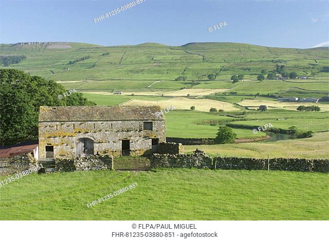 View of stone barn, drystone walls and pasture in valley bottom, River Ure, Burtersett, Wensleydale, Yorkshire Dales N P , North Yorkshire, England, july