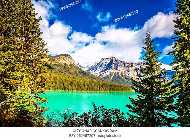 The green lake surrounded by a coniferous forest. Emerald Lake in Yoho National Park, Rocky Mountains