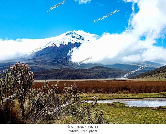 Limpiopungo lake and Cotopaxi volcano, Cotopaxi National Park, Andes mountains, Ecuador, South America