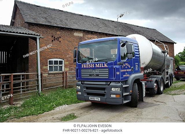 Milk tanker collecting milk from farm, Cheshire, England, july