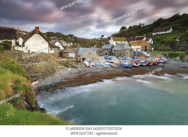The picturesque fishing cove at Cadgwith on Cornwall's Lizard Peninsula, captured from the Todden on a morning in early May